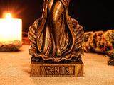 Venus Statue, Roman Goddess Venus, Venus Goddess Figure, Roman Goddess, Roman Mythology, Pagan Statue, Roman Pantheon, Custom God Statue