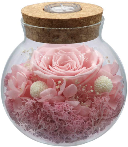 Witchcraft~Preserved Real Roses with Colorful Mood Light Wishing Bottle,Eternal Rose，Never Withered Flowers,for Bedroom Party Table Decor, Christmas Decorations,a Gifts for Women Pink