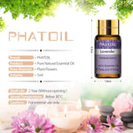 Essential Bliss: 15-Piece Natural Plant Aroma Essential Oil Diffuser Gift Set - Eucalyptus, Vanilla, Mint, Lavender, Rose, Tea Tree, and More!